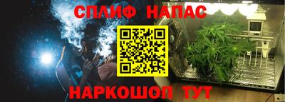 тгк Пенза