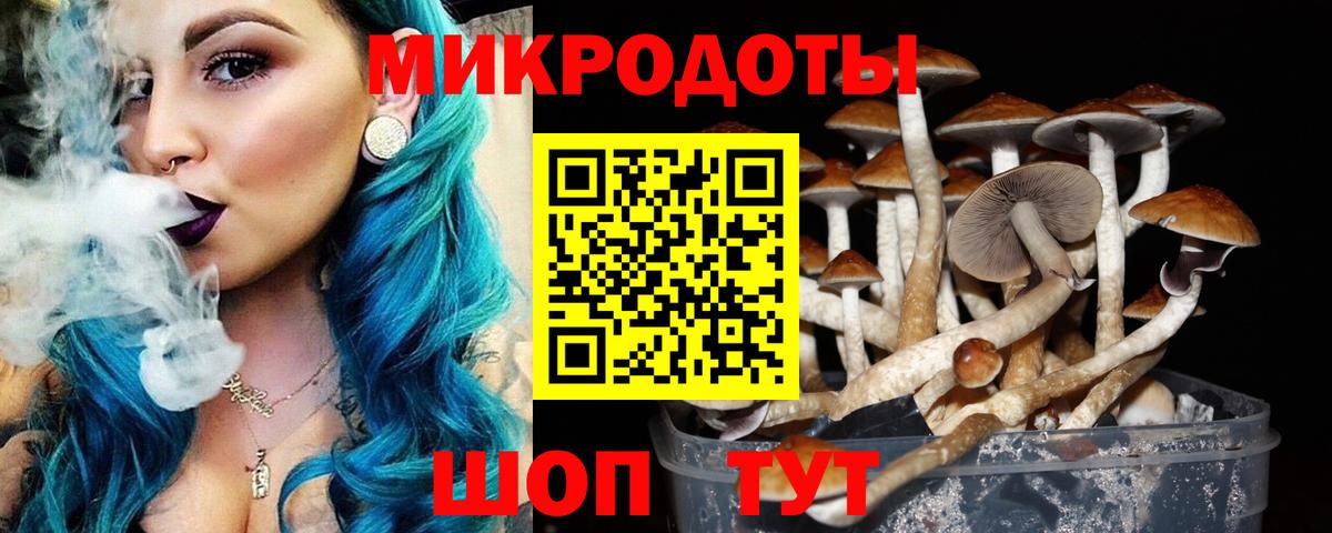 Псилоцибиновые грибы прущие грибы Симферополь